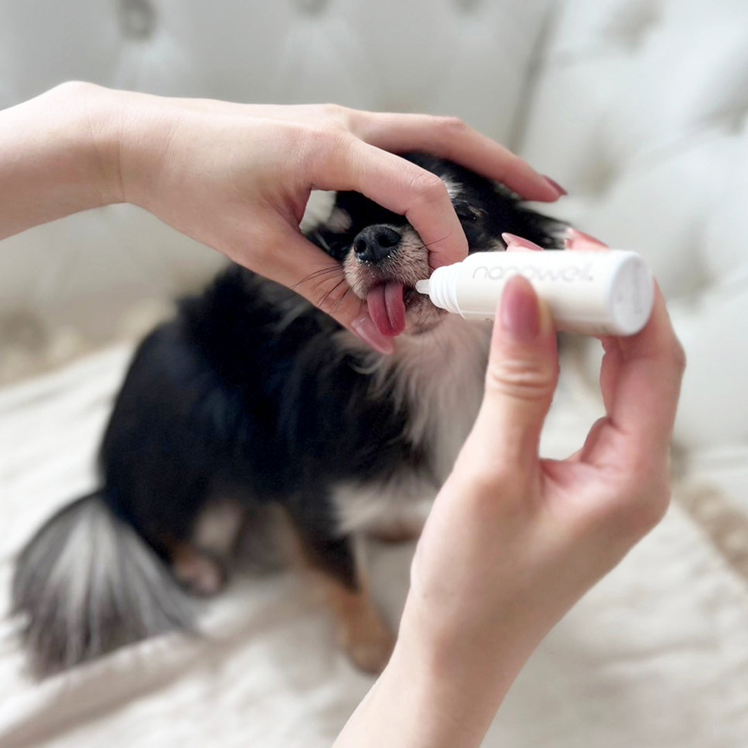 ナノウエルオーラルケア for DOG (愛犬用) 20ml