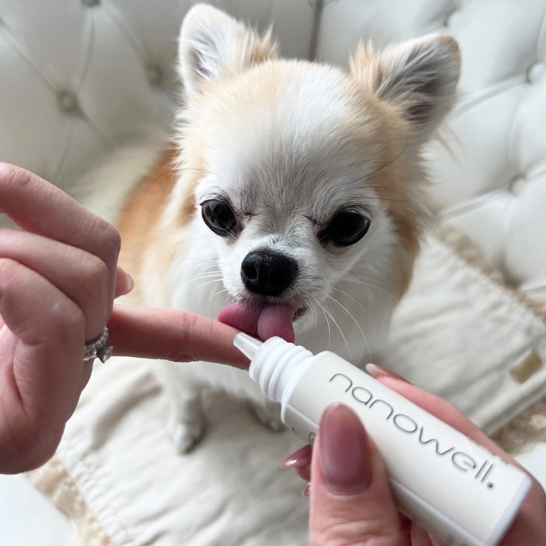 ナノウエルオーラルケア for DOG (愛犬用) 20ml